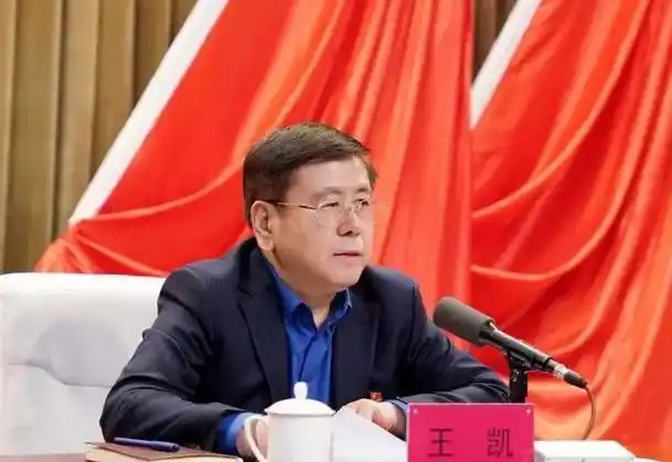 长春市委书记王凯履新河南省代理省长