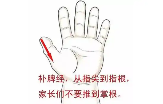 蜜儿堂:宝宝脾胃不好就要推拿这两个穴位! - 轻略论坛