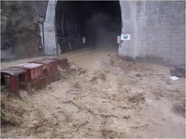 预报_情况_马鹿