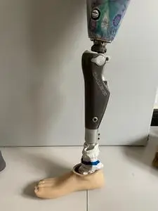 【智能假肢】智能假肢品牌,价格 - 阿里巴巴
