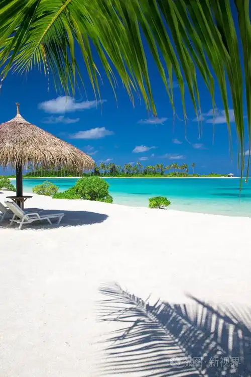 在马尔代夫的美丽海滩