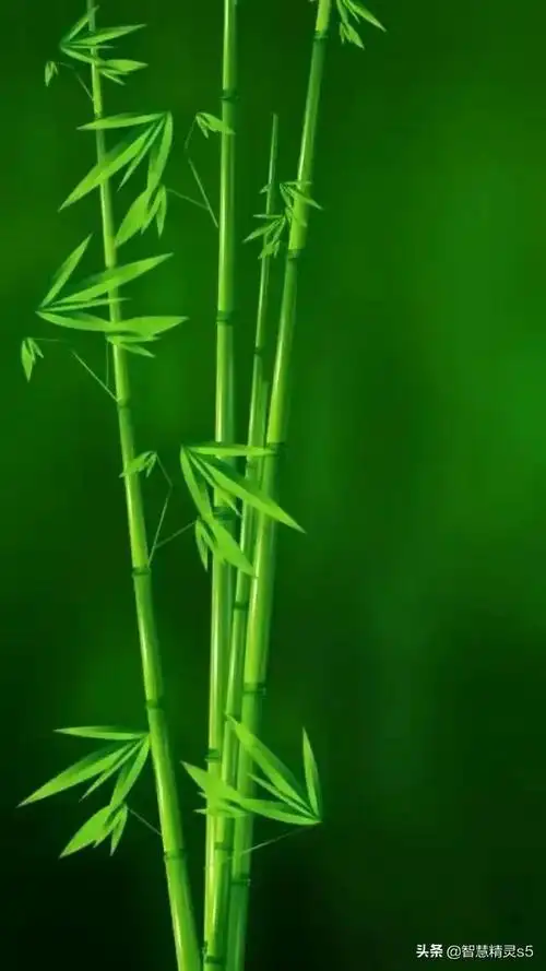 640_1138竖版 竖屏