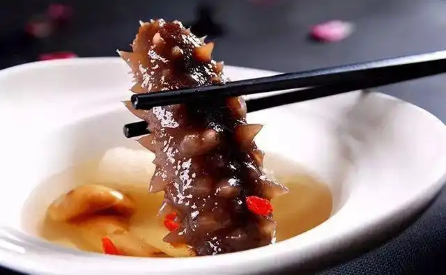 海参有几种吃法和做法(三款令人心仪的美味海参做法)