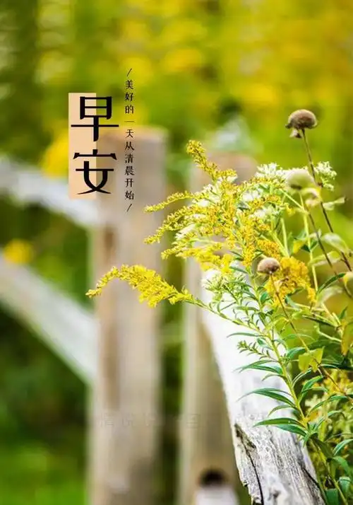 早安心语温暖语句早安说说图片大全唯美图片