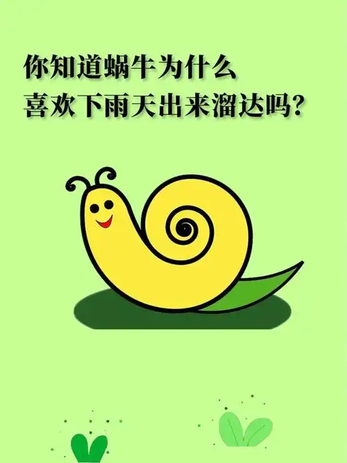 我被治愈了一下坚韧的小蜗牛