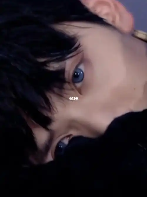 严浩翔做我的猫