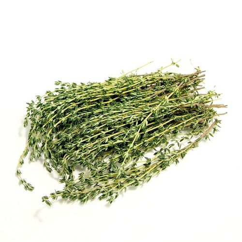 新鲜百里香100g西餐烘焙香料牛排用thyme食用