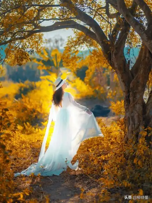 人物风景图片(风景人像问题集锦) - 赤虎壹号