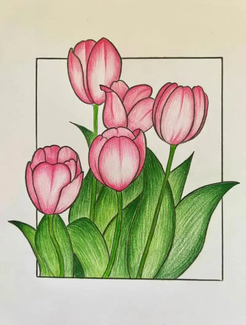 花朵彩铅画系列 #每日一画画# #简笔画# #花# #彩铅画# #手绘临摹