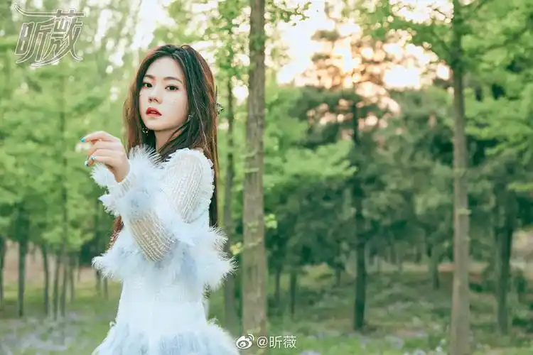 转载文艺女青年张紫宁的诗