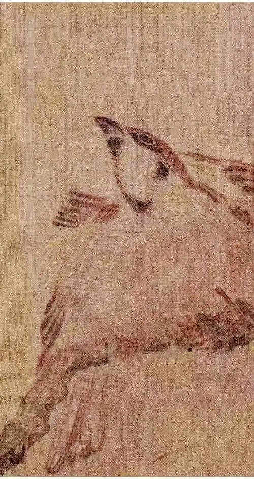 宋崔白寒雀图卷高清鉴赏