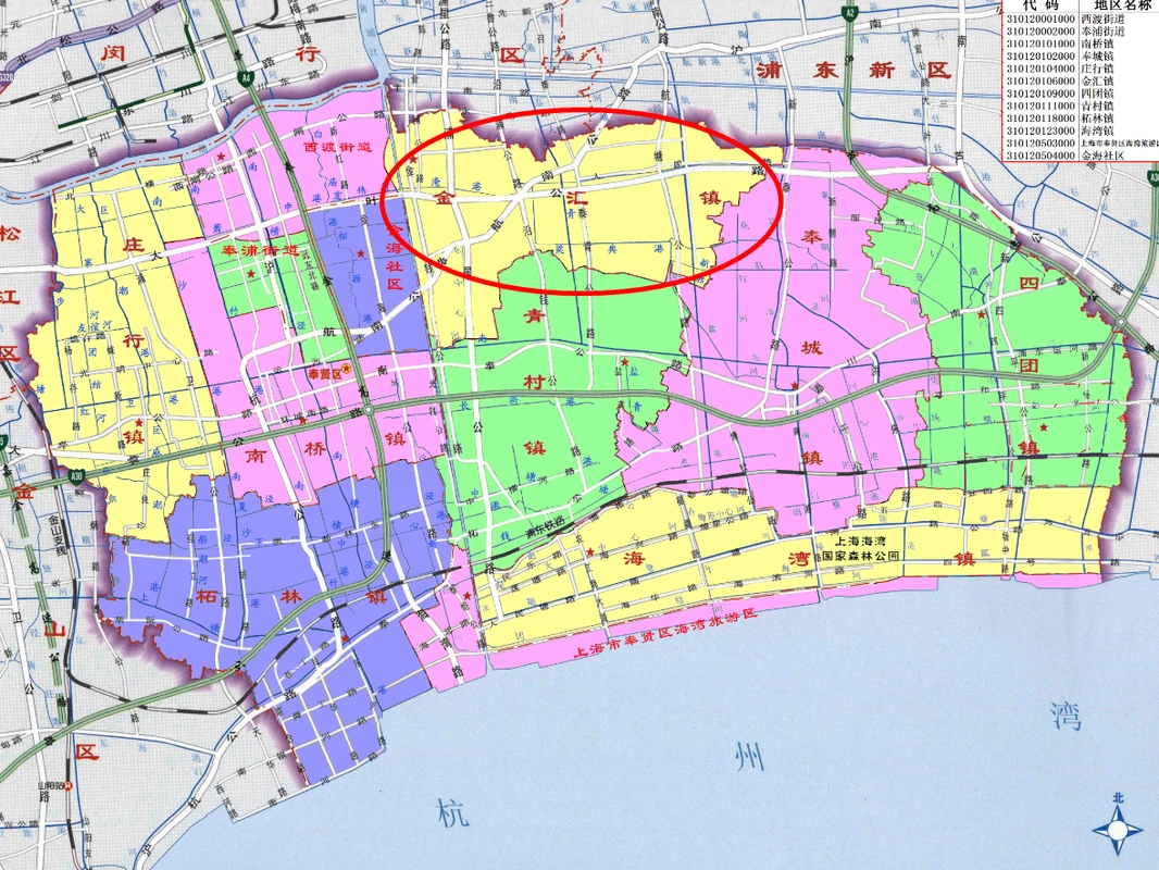 上海市奉贤区金汇镇在乡村地区建设林荫小道,城乡以不同模式发展