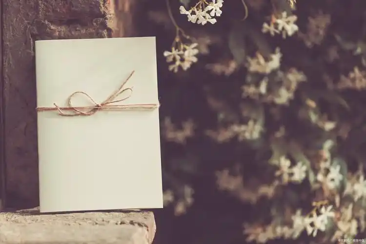 我走在黄昏的街道上,落叶铺满了小径,每一步都踏出了岁月的回响.