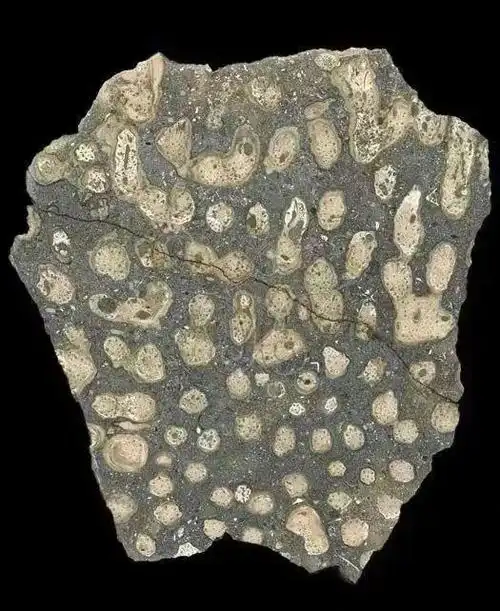 图文并茂,瞬间学会识别岩浆岩,沉积岩,变质岩!一学就会