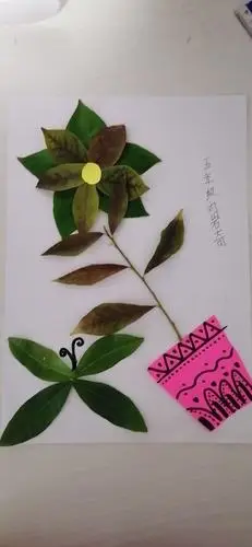 美丽的树叶贴画,永恒的诗意秋天——记漕河小学五年级制作树叶贴画和