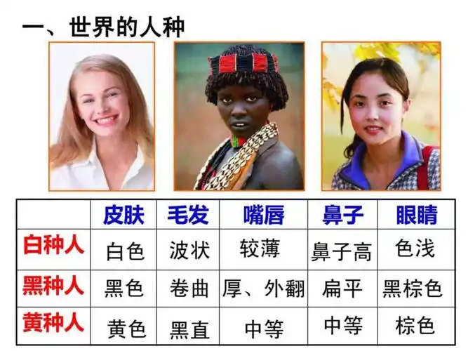 世界的人种语言和宗教.pptx 35页