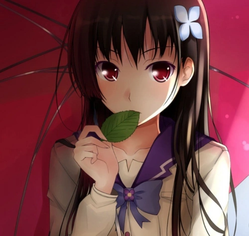 黑长直,右边头上带了一朵白花的动漫女主是谁?她的爸爸额头上有三个点