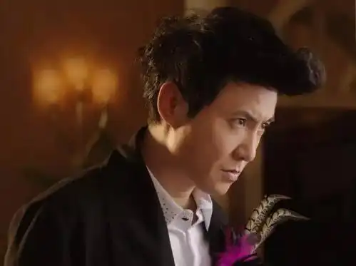 求一张夏洛特烦恼里沈腾鸡毛装的正面图,清晰点的.