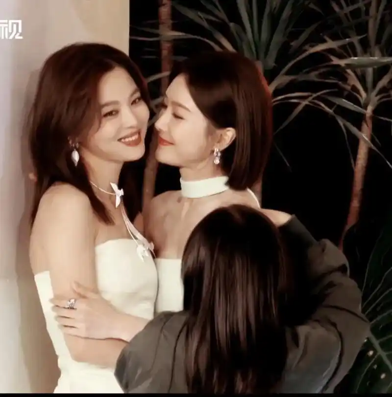 辛芷蕾秦岚.#辛甘秦愿#请你们结婚好吗 - 抖音