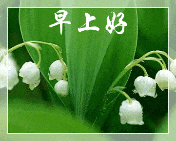 1月22日微信群发早上好问候语朋友圈动态早上好表情图片大全