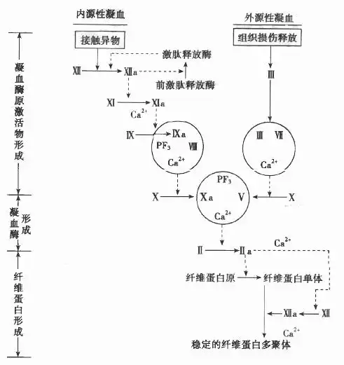 善意重复保险的效力 简述重复保险的构成要件