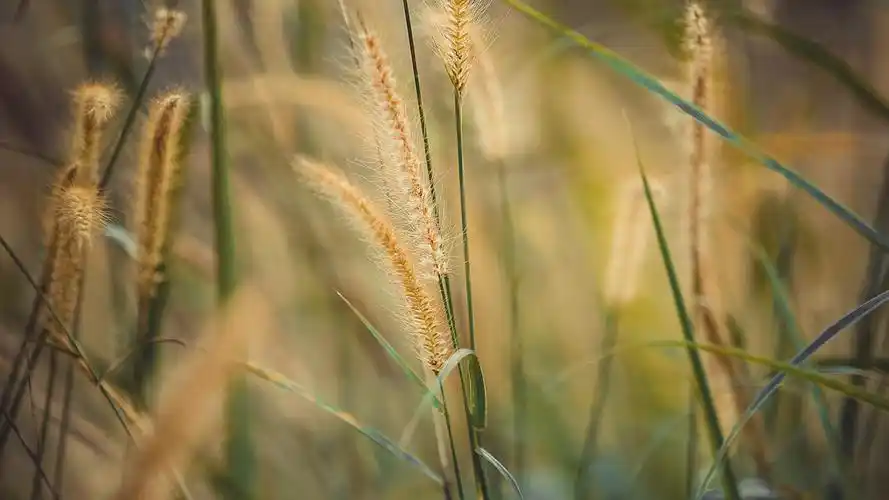 小清新唯美风景