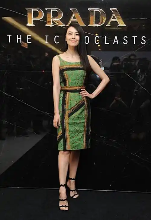 高圆圆穿连衣裙显得非常优雅和淑女