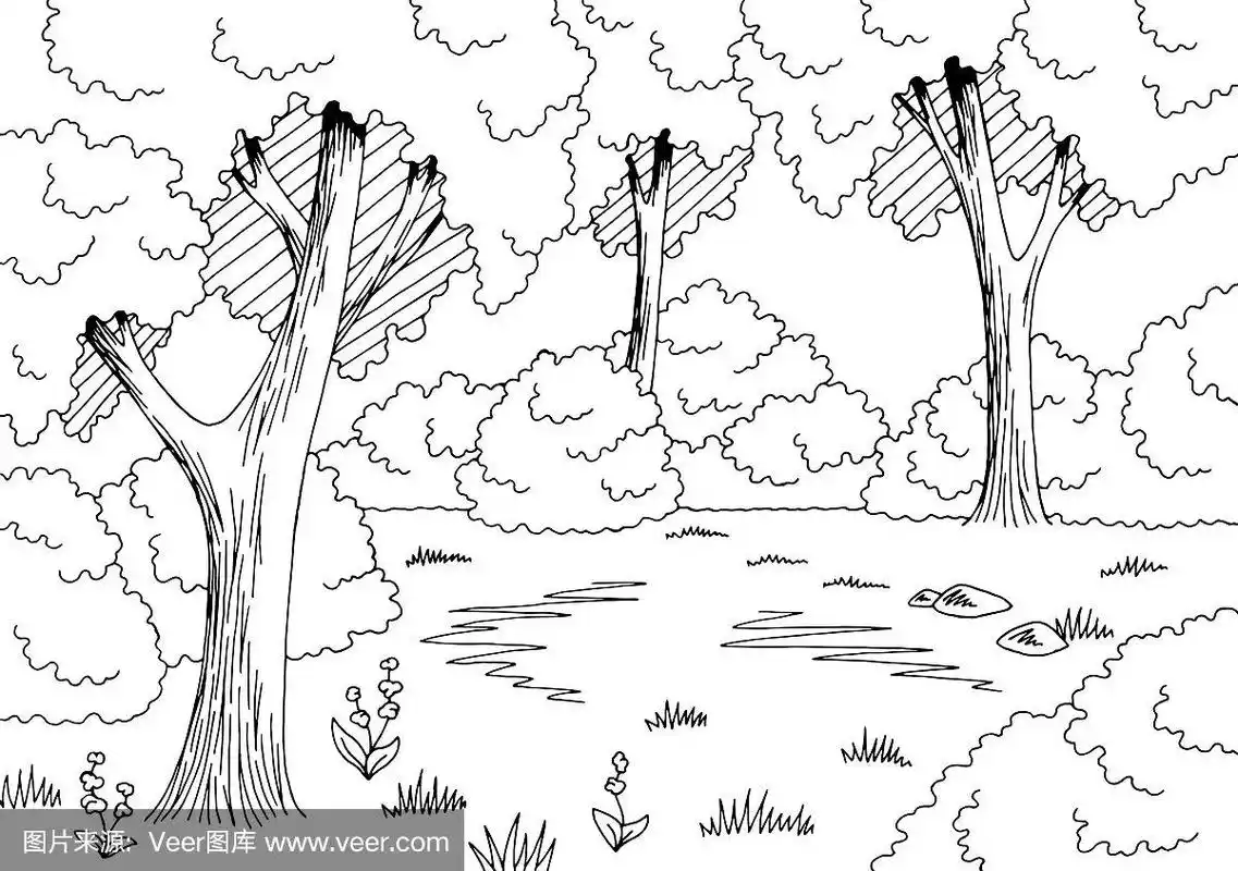 森林林间空地图形黑白景观素描插图向量
