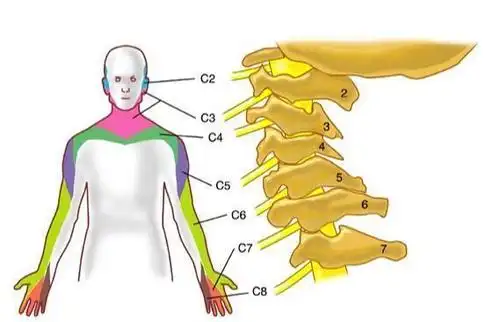 颈椎病压迫了神经,会出现哪些症状?怎么缓解?医生告诉你答案!