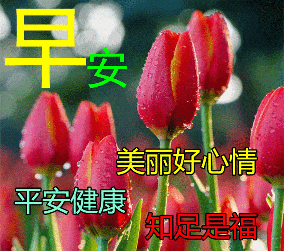 12月24日平安夜早上好动态表情图片大全,早晨好动图美图大全-第3张