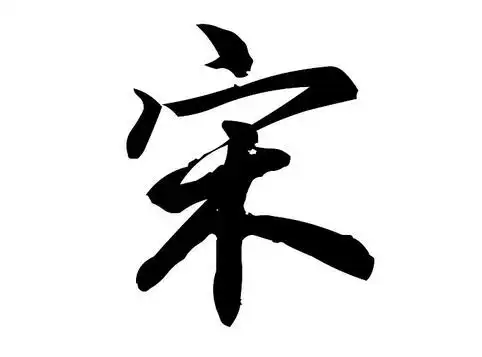 我姓宋的专属句子