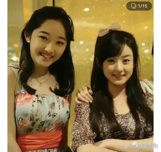 赵丽颖的孩子到底是谁的