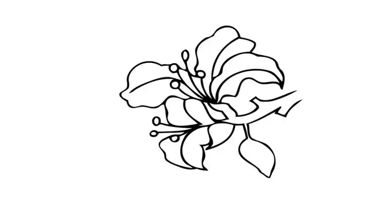 紫荆花树的叶子简笔画 简笔画图片大全-蒲城教育文学网