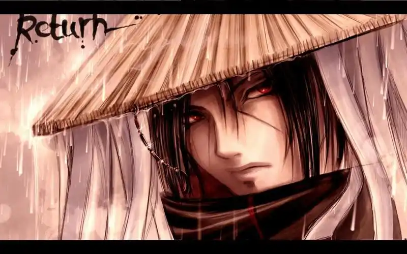 鼬- 堆糖,美图壁纸兴趣社区