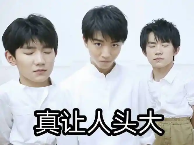 tfboys三人同行#【表情包】今天也是被精致的猪猪男孩们深爱的猪猪