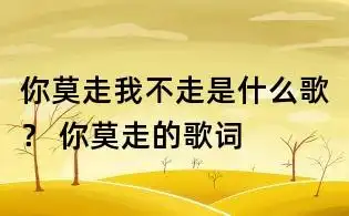 你莫走我不走是什么歌你莫走的歌词