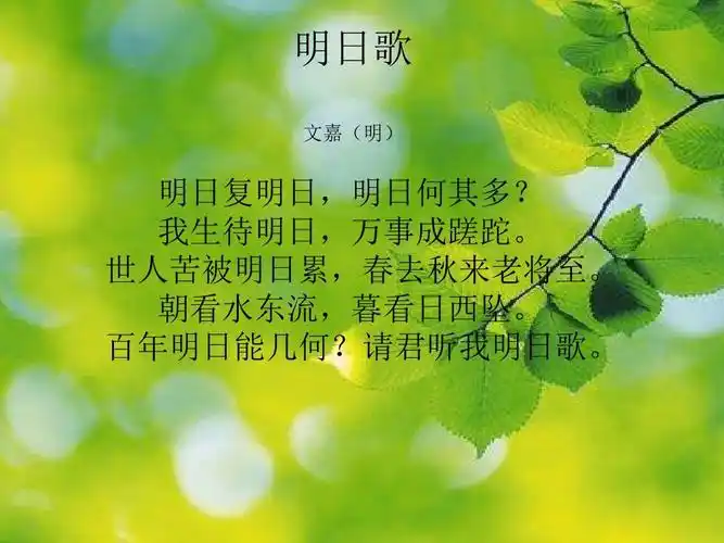 我现在就付诸行动