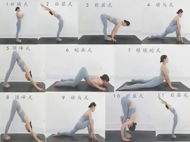 初级拜日式适合新手练习的初级瑜伽动作,动作比较简单.