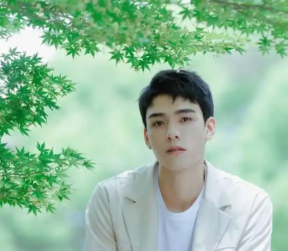 其实许多耽美女孩知道龚俊这个人是在网剧《盛势》里,他饰演的妖儿