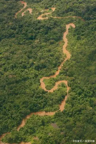 俯瞰巴西亚马逊地区景观热带雨林郁郁葱葱