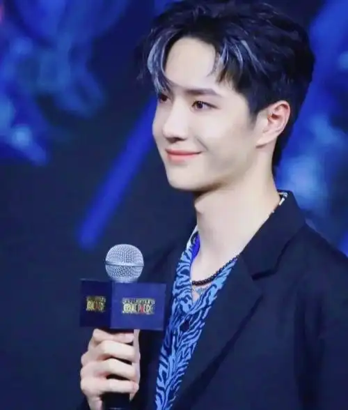 王一博之邪魅一笑