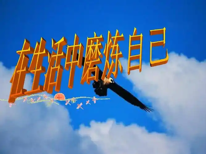 六年级思品 在生活中磨练自己