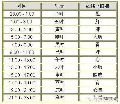 五脏六腑运作时间分别是什么时辰