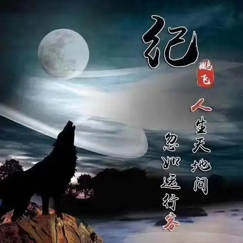 狼主题微信头像:你的姓氏不该这么平淡,与狼共舞霸气尽显