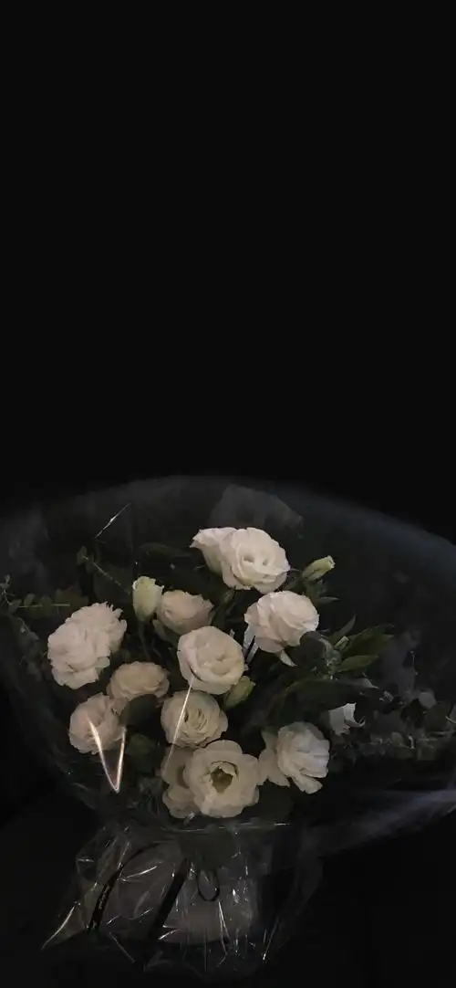 全面屏壁纸 | 黑色是所有颜色的集合