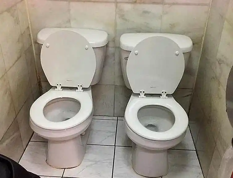 看了这些奇葩的马桶,你能接受吗,觉得哪个最奇葩呢?