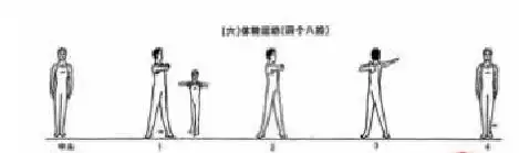 跳跃运动预备姿势:直立1.并腿向上跳一次,同时两手叉腰.2.再跳一次.3.