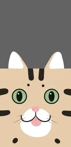 抖音最火壁纸丨简单也好