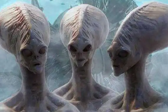 1999年外星人入侵事件是真的吗 还签了保密协议