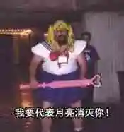 我要代表月亮消灭你!_我要_月亮_消灭表情
